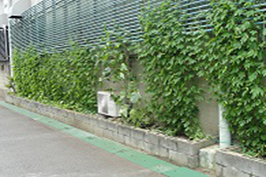 2015.7.17撮影3