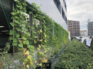 2019.7.17撮影