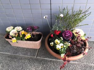 IMG_4391